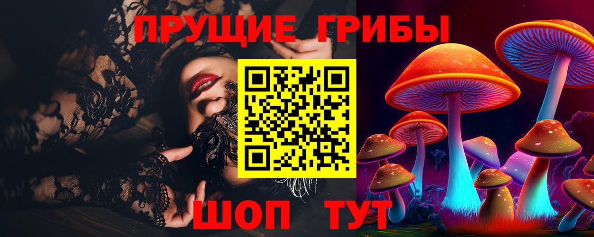 Псилоцибиновые грибы GOLDEN TEACHER Ржев